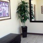 Oral Facial Surgery Associates lobby