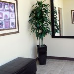 Oral Facial Surgery Associates lobby
